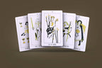 Dark Synevyr The Golden Path Tarot Deck 80 Cards - cards showing suit symbols